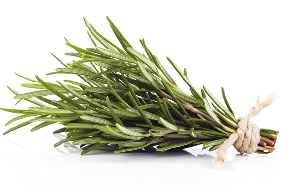 Чудесни рузмарин: За боље памћење и расположење, умањује болове, побољшава циркулацију
